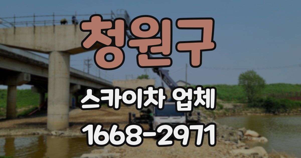 청원구 스카이차 업체