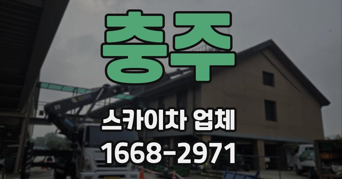 충주 스카이차 업체