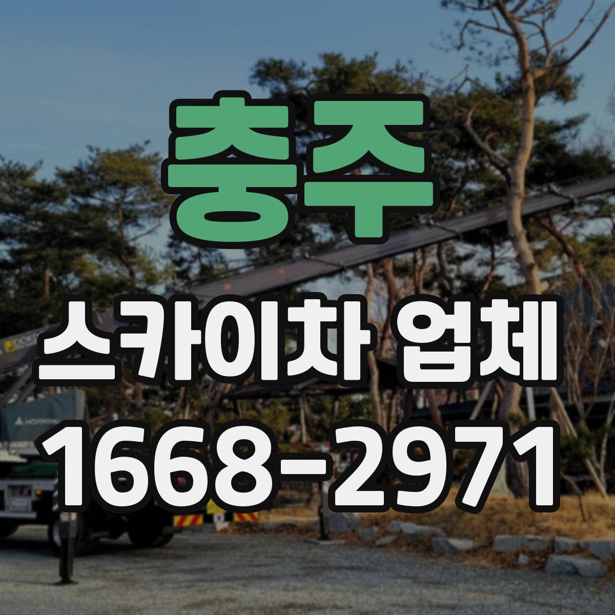 충주 스카이차 업체