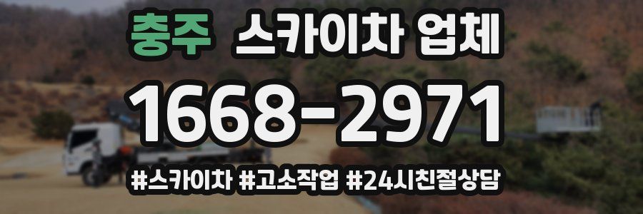 충주 스카이차 업체