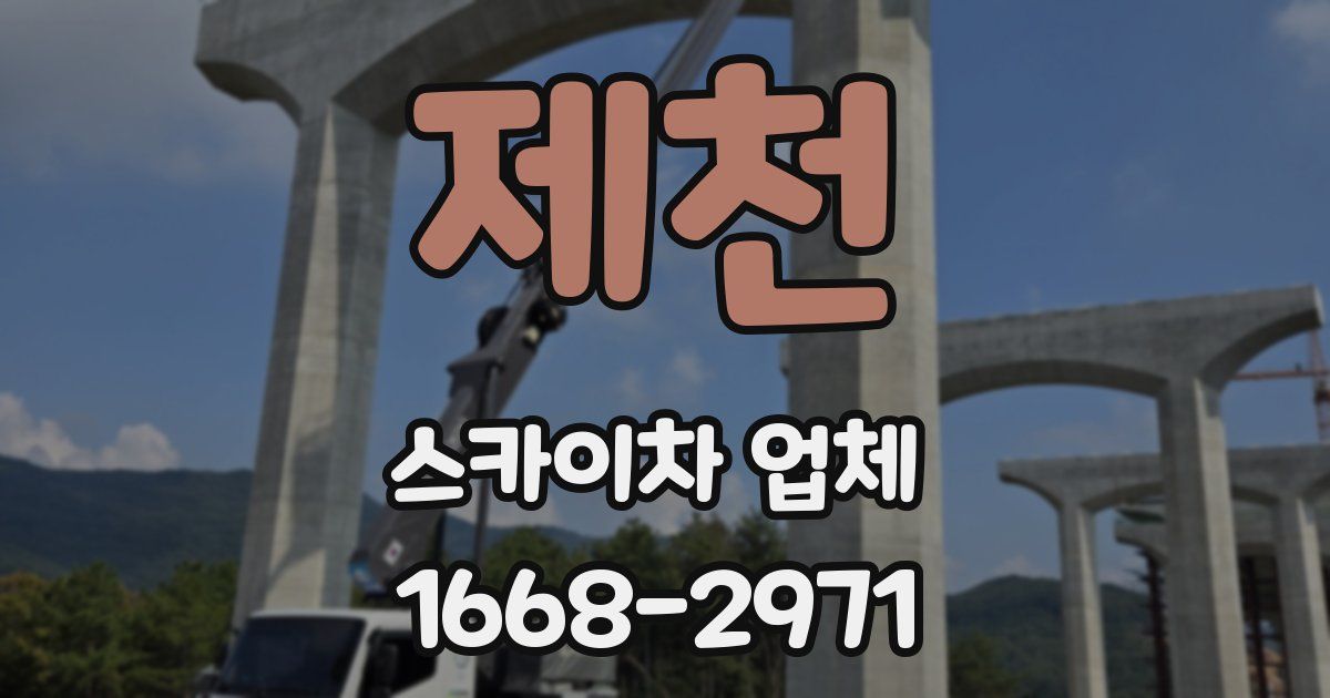 제천 스카이차 업체