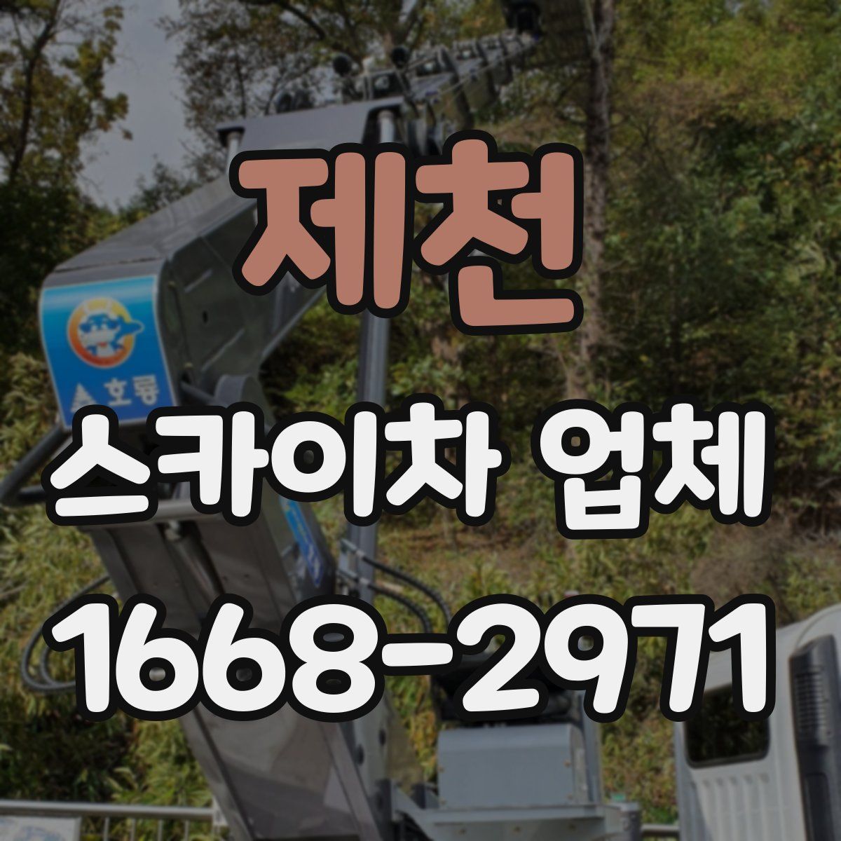 제천 스카이차 업체