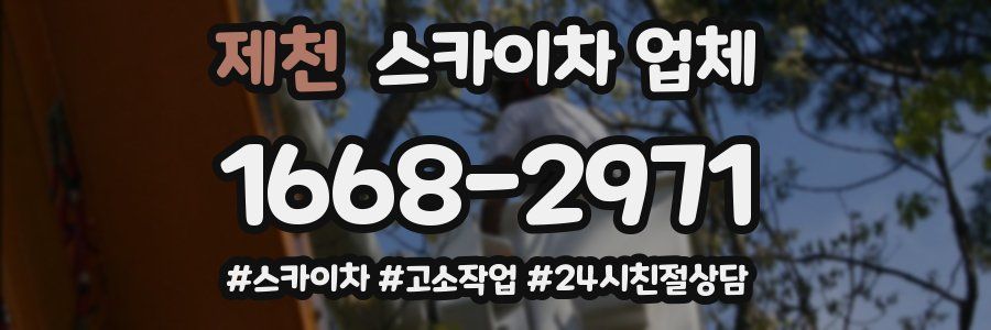 제천 스카이차 업체