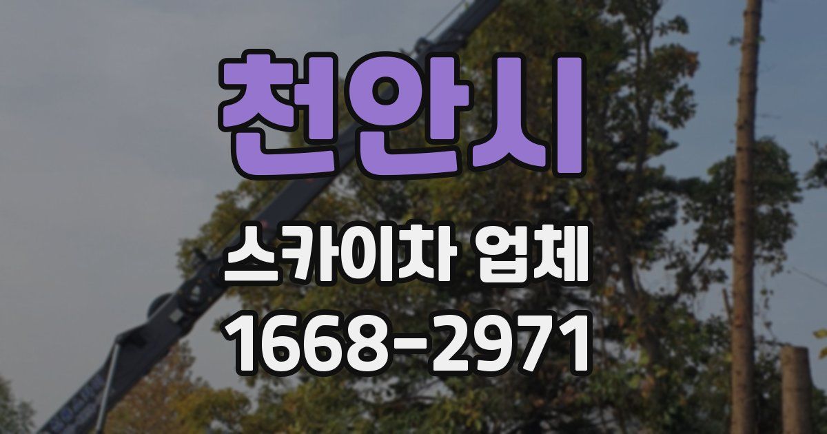 천안시 스카이차 업체