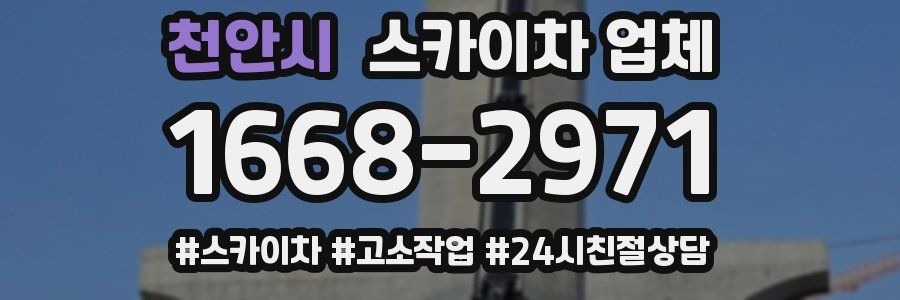 천안시 스카이차 업체