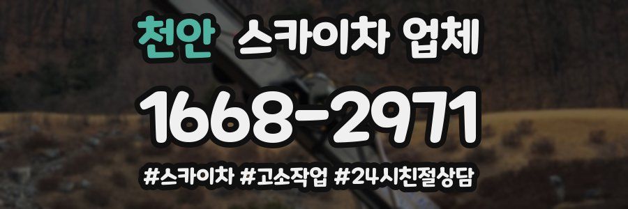천안 스카이차 업체
