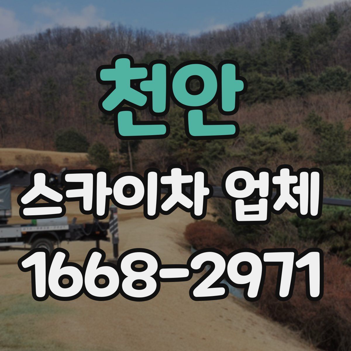 천안 스카이차 업체