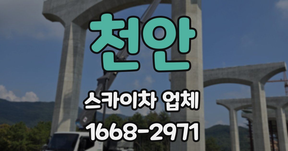 천안 스카이차 업체