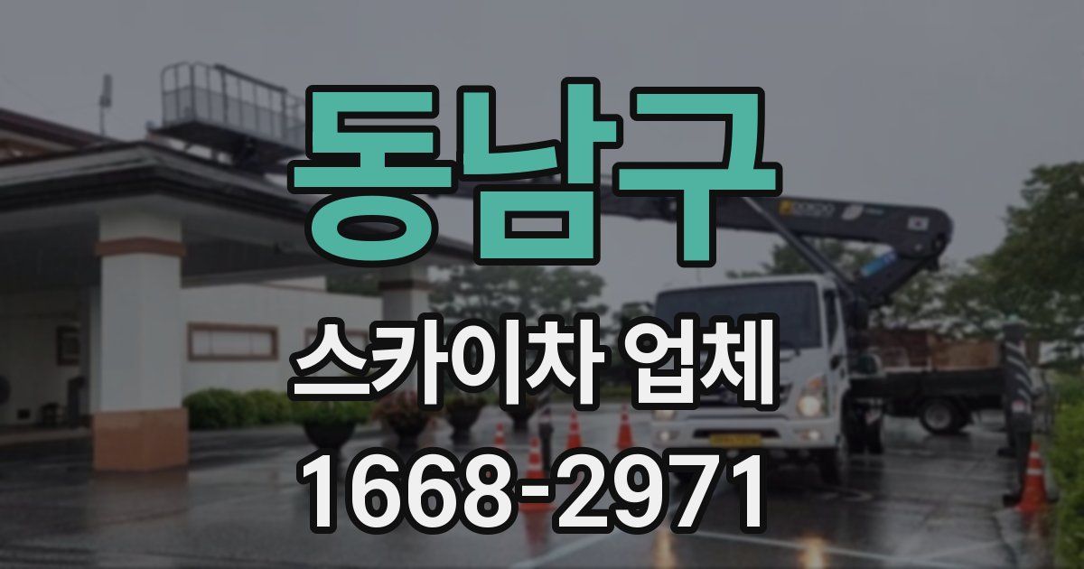 동남구 스카이차 업체