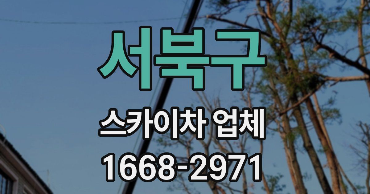 서북구 스카이차 업체