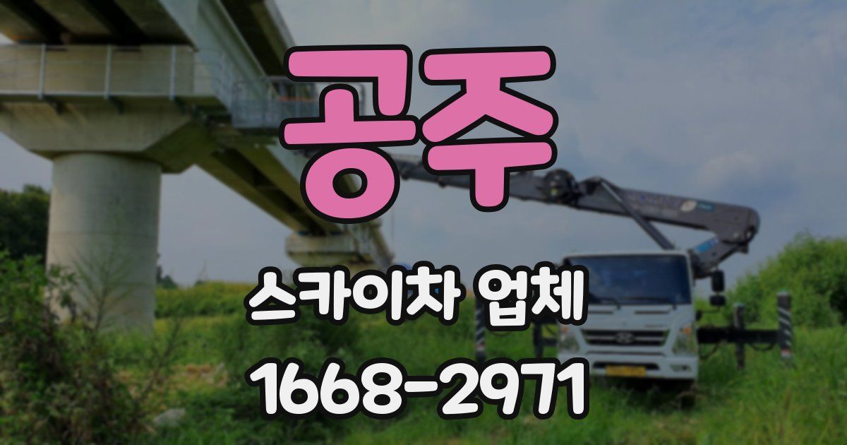 공주 스카이차 업체