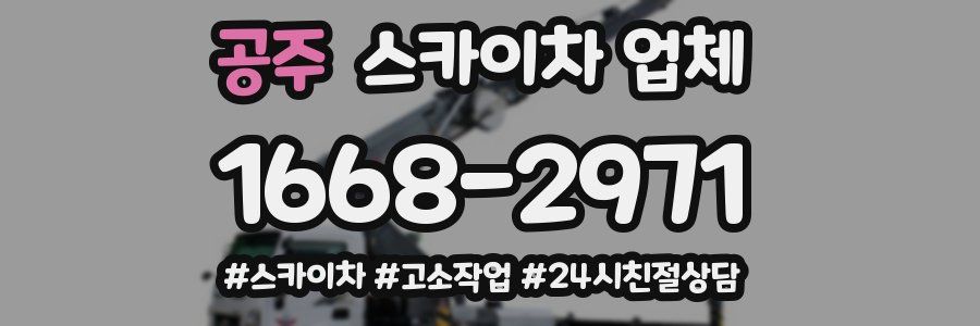 공주 스카이차 업체