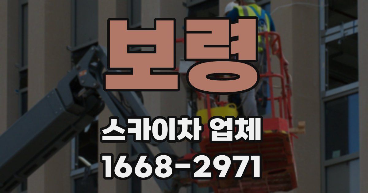 보령 스카이차 업체
