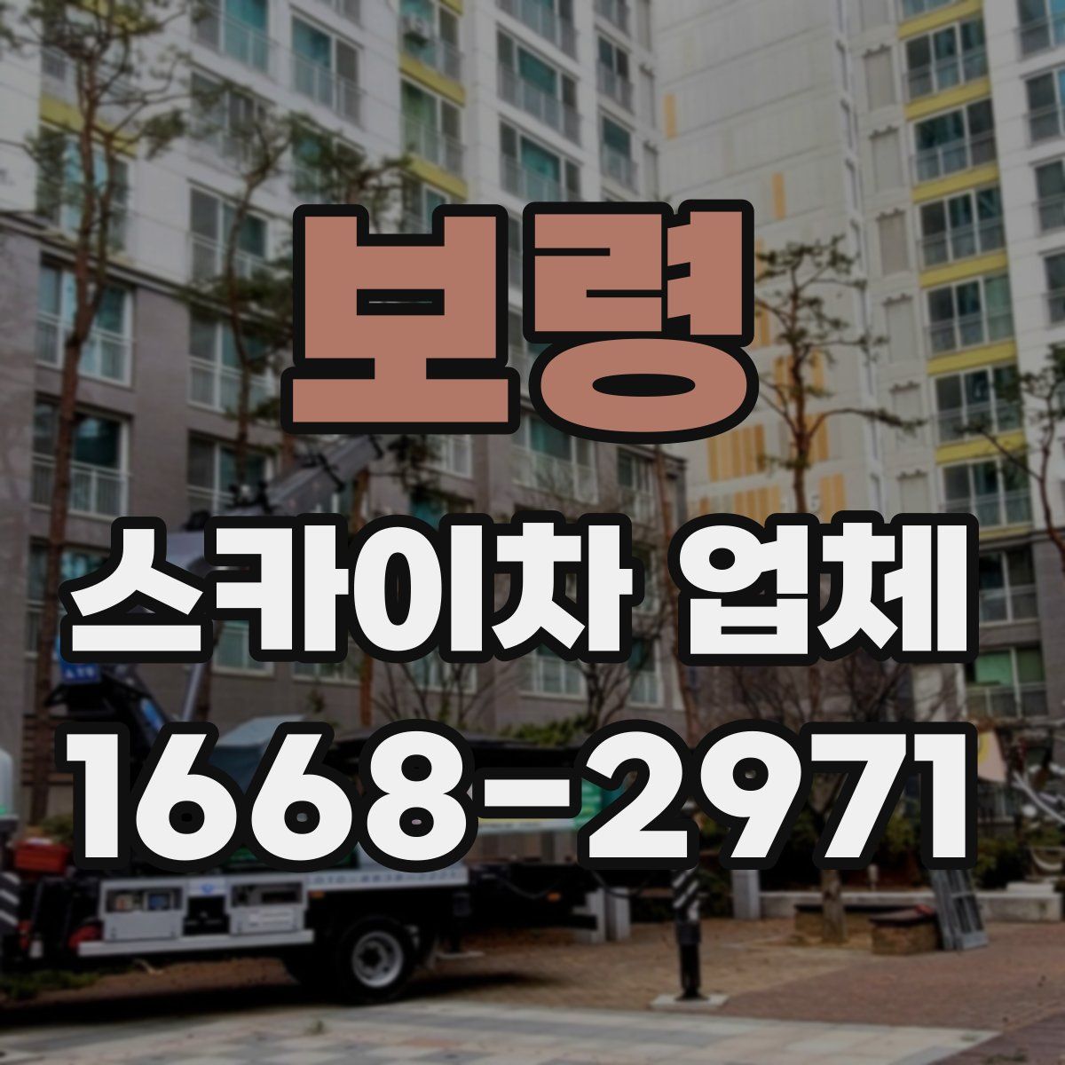 보령 스카이차 업체