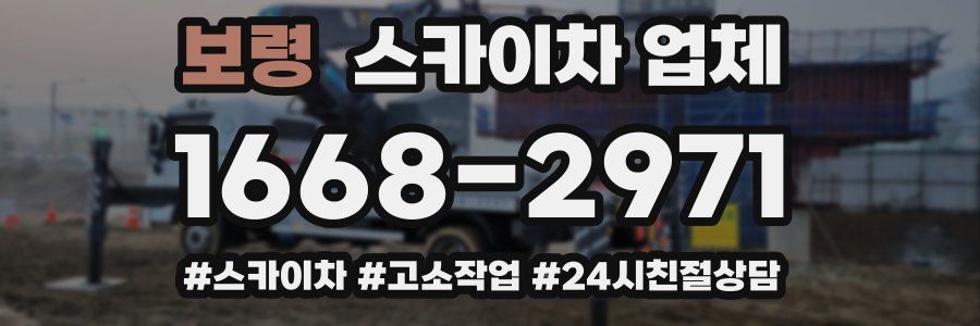 보령 스카이차 업체