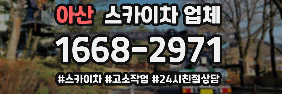 아산 스카이차 업체