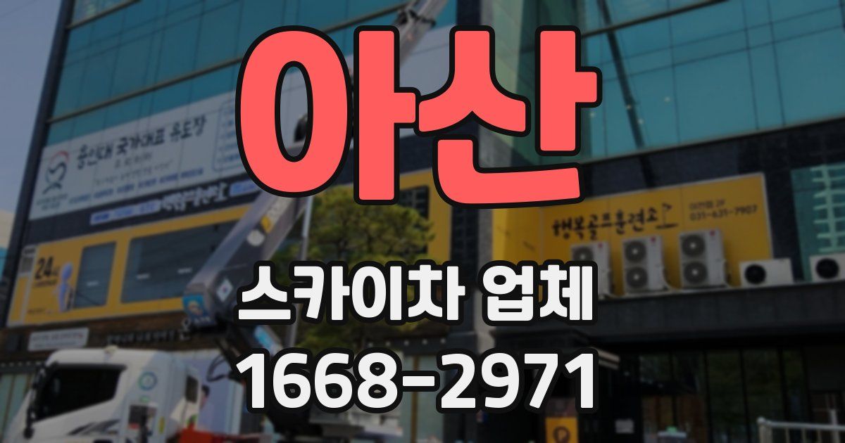 아산 스카이차 업체