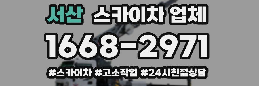 서산 스카이차 업체