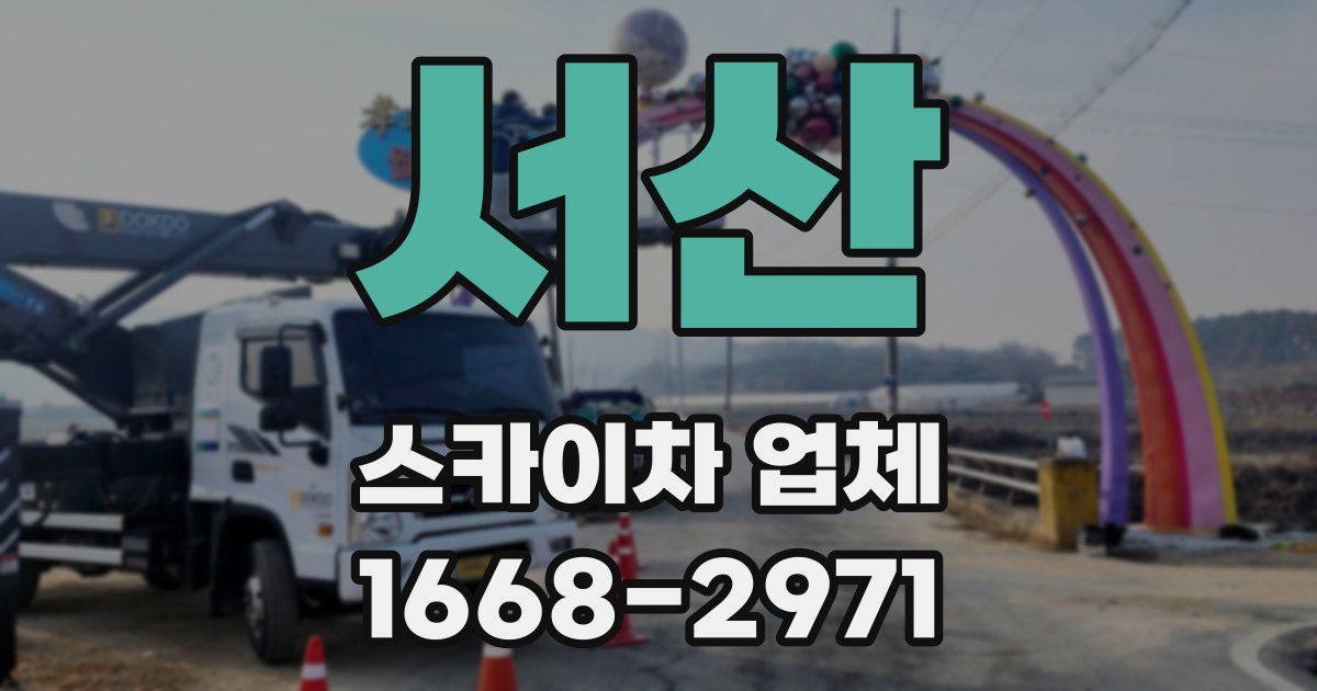 서산 스카이차 업체