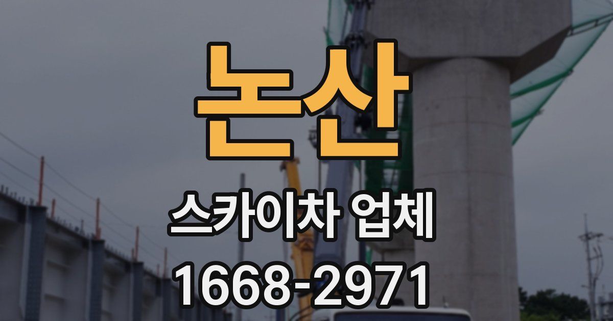논산 스카이차 업체