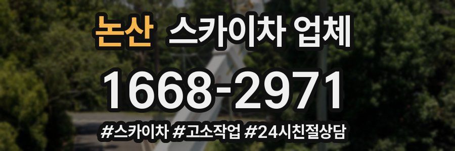 논산 스카이차 업체