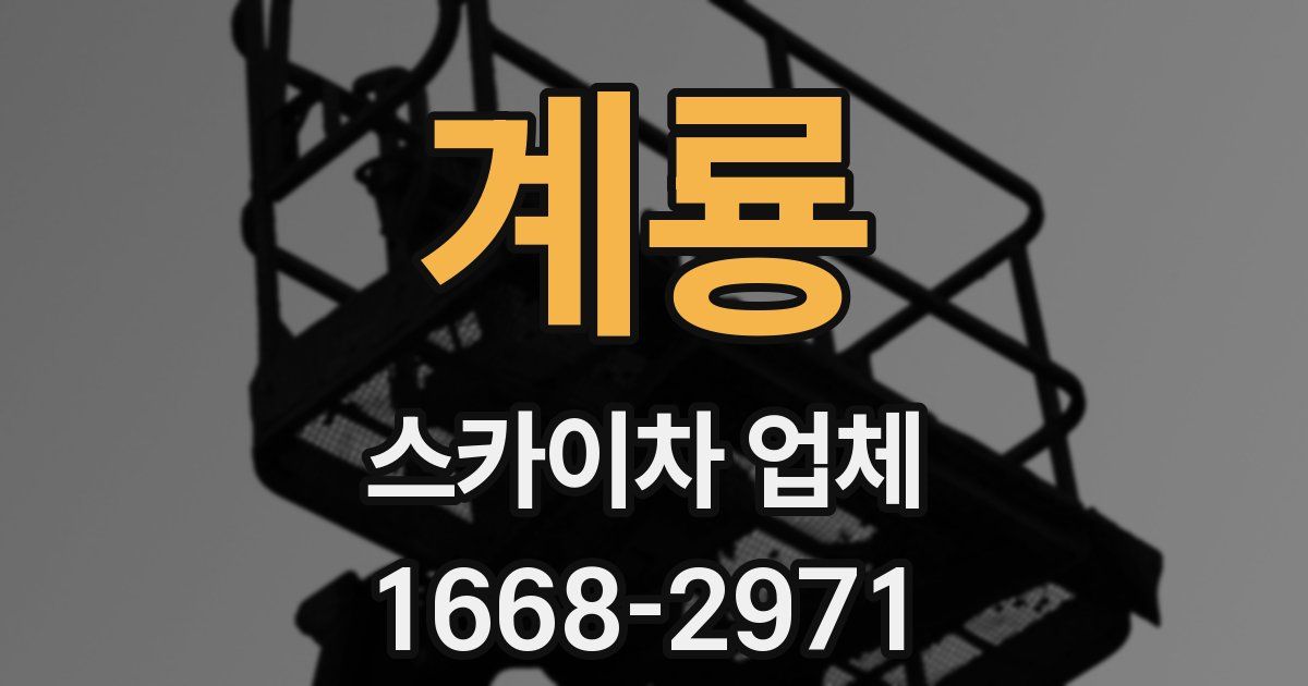 계룡 스카이차 업체