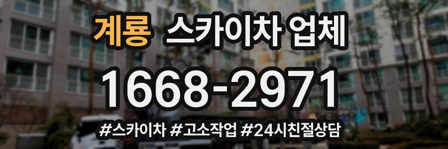 계룡 스카이차 업체