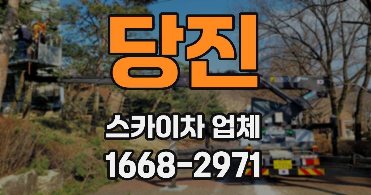 당진 스카이차 업체