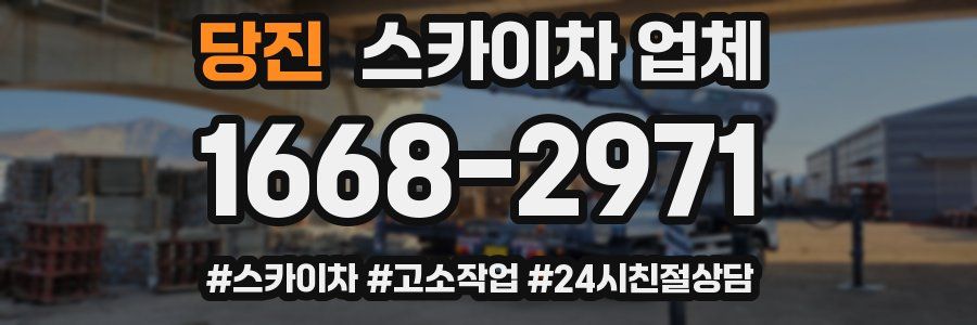 당진 스카이차 업체