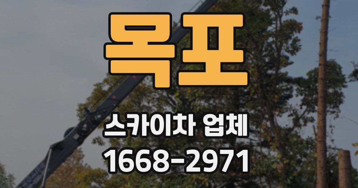 목포 스카이차 업체