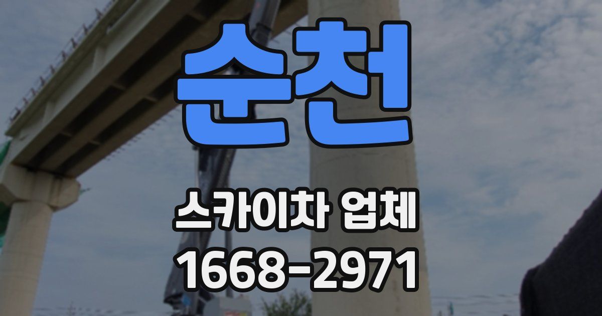 순천 스카이차 업체