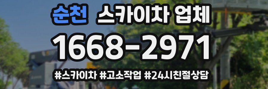 순천 스카이차 업체