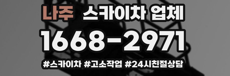 나주 스카이차 업체
