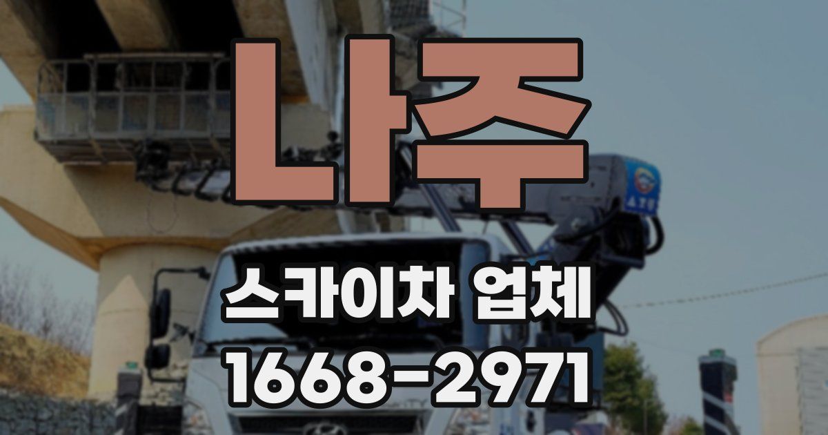 나주 스카이차 업체