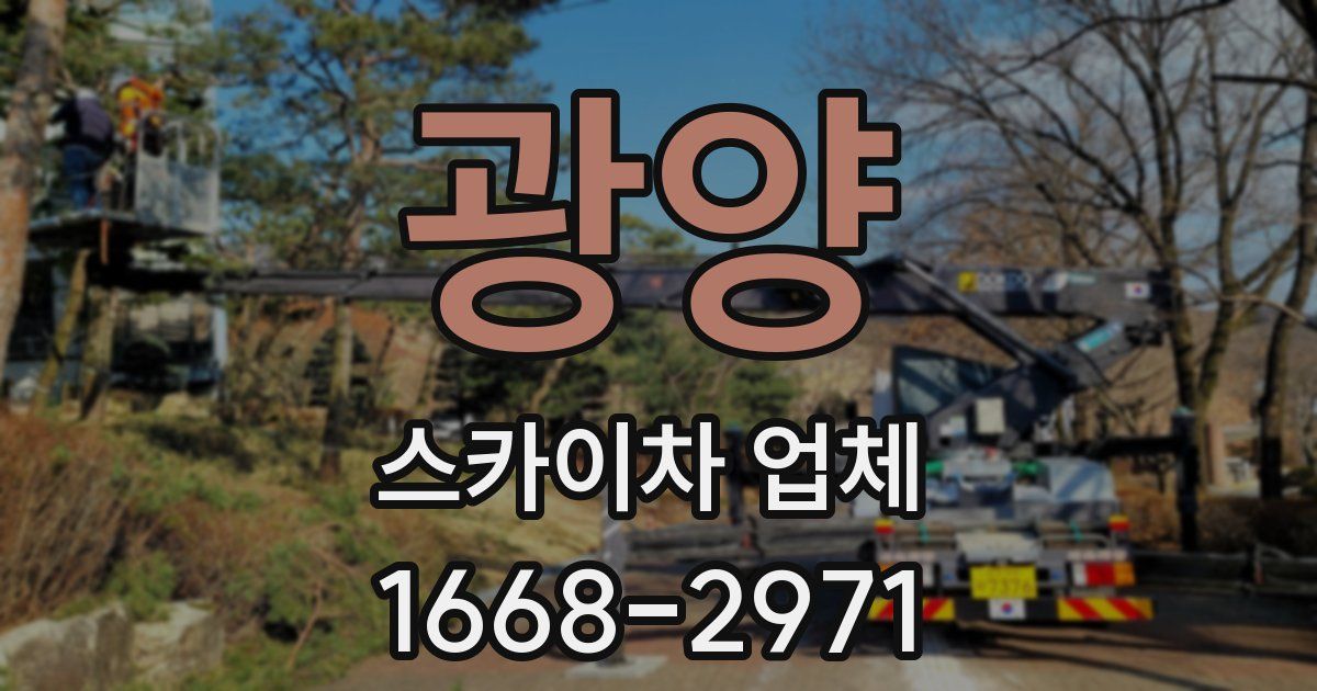 광양 스카이차 업체