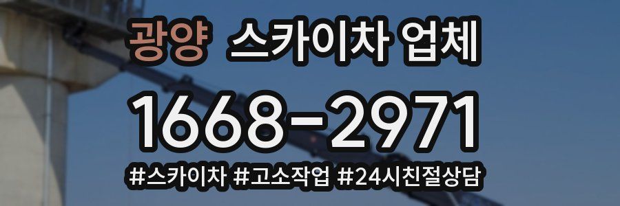 광양 스카이차 업체