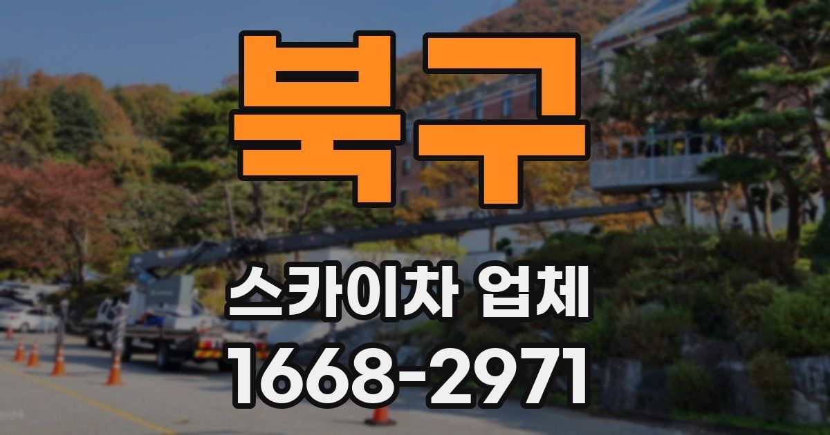 북구 스카이차 업체