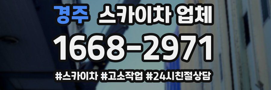 경주 스카이차 업체