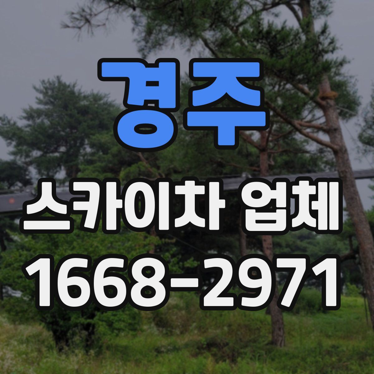 경주 스카이차 업체