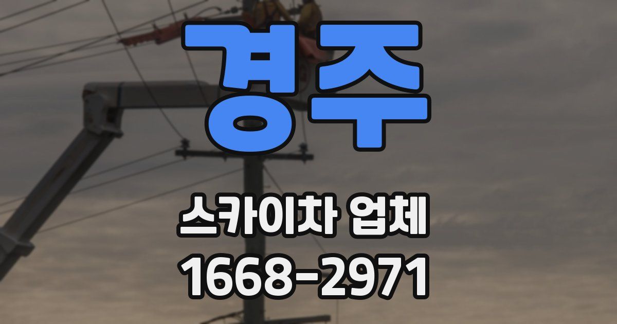 경주 스카이차 업체