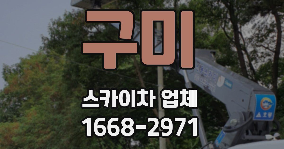 구미 스카이차 업체