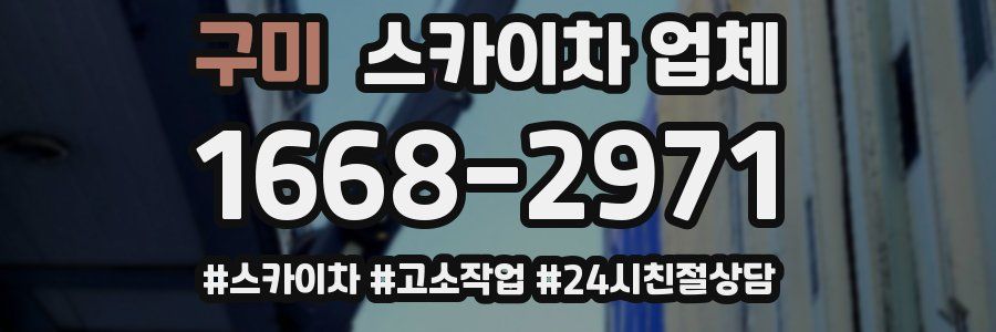구미 스카이차 업체