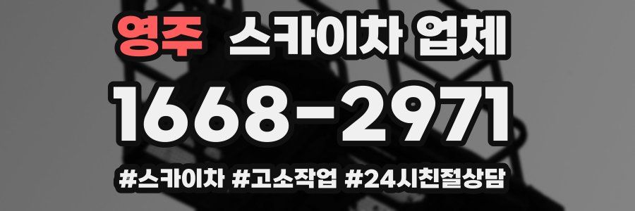 영주 스카이차 업체