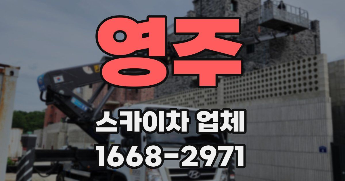 영주 스카이차 업체