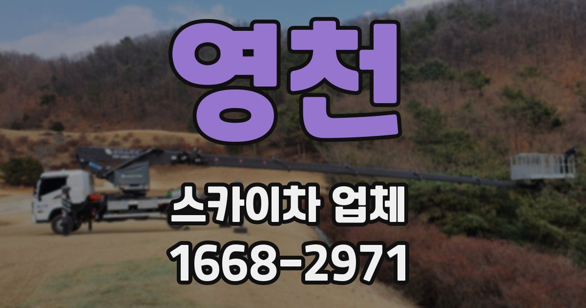 영천 스카이차 업체