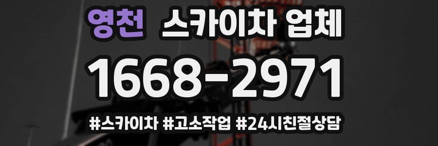 영천 스카이차 업체