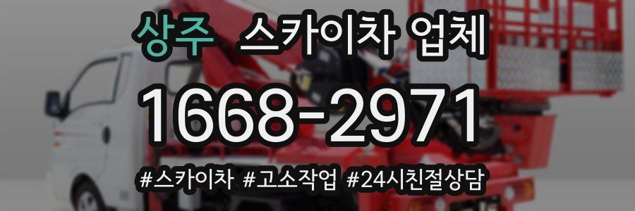 상주 스카이차 업체