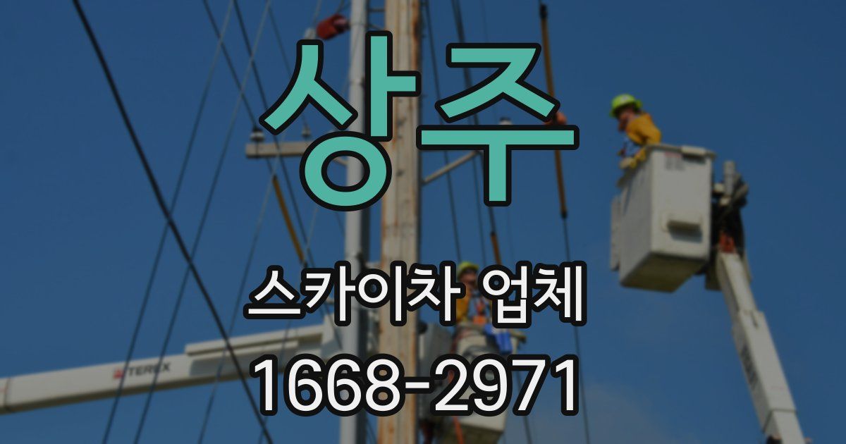 상주 스카이차 업체