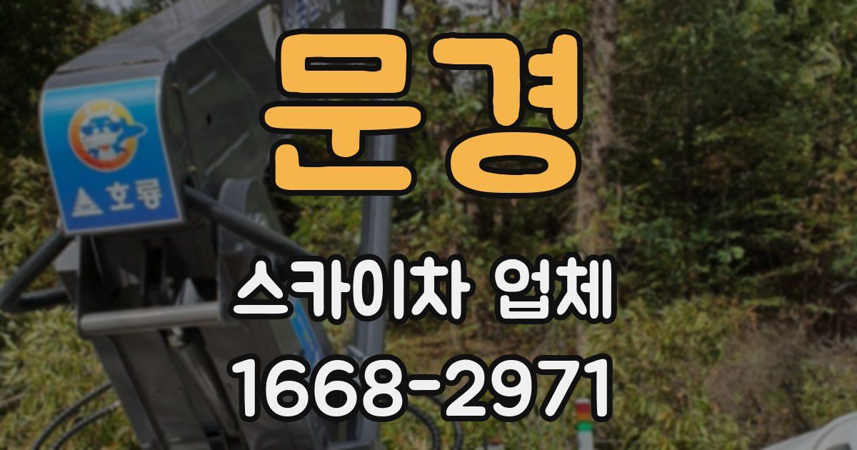 문경 스카이차 업체