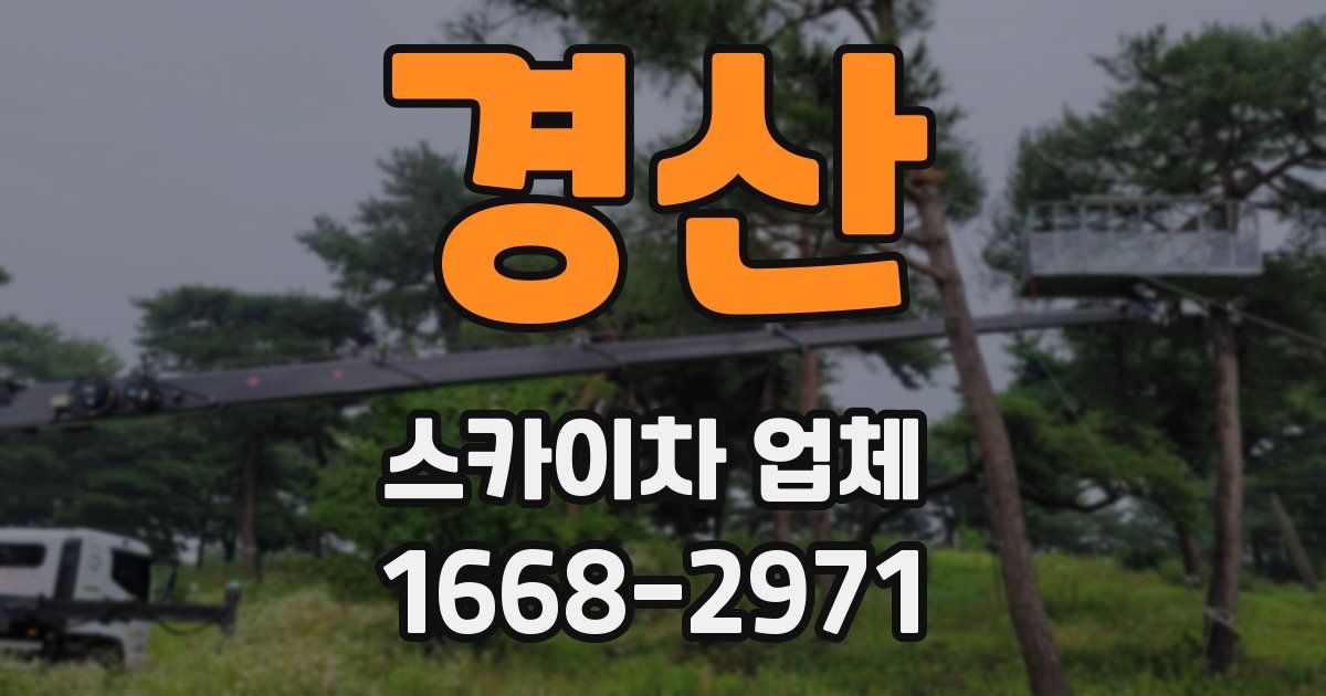 경산 스카이차 업체